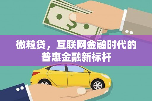 四湖微粒贷，互联网金融时代的普惠金融新标杆