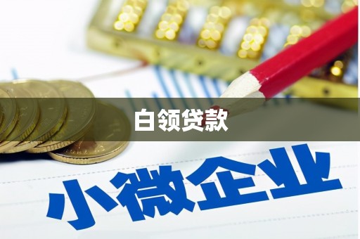 四湖白领贷款
