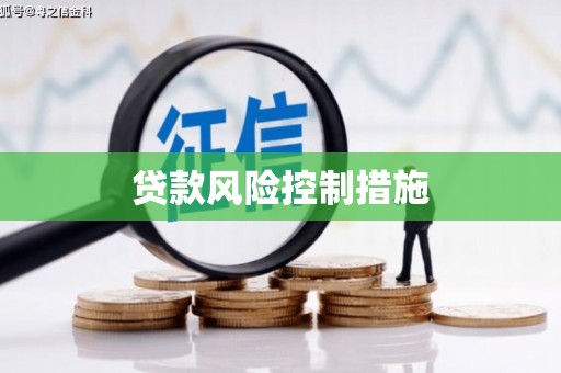四湖贷款风险控制措施