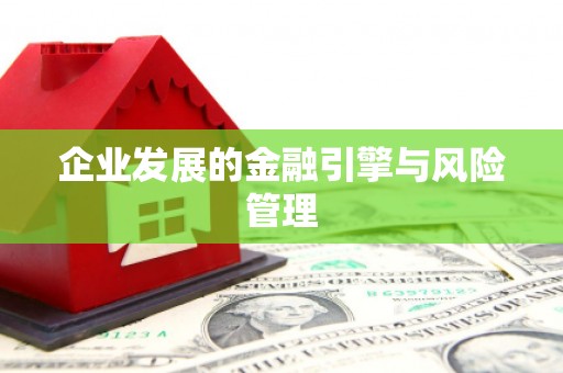 四湖企业发展的金融引擎与风险管理