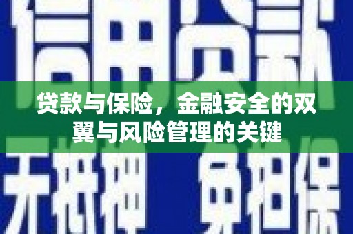 四湖贷款与保险，金融安全的双翼与风险管理的关键