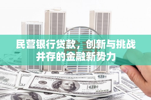 四湖民营银行贷款，创新与挑战并存的金融新势力