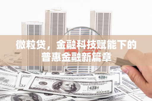 四湖微粒贷，金融科技赋能下的普惠金融新篇章