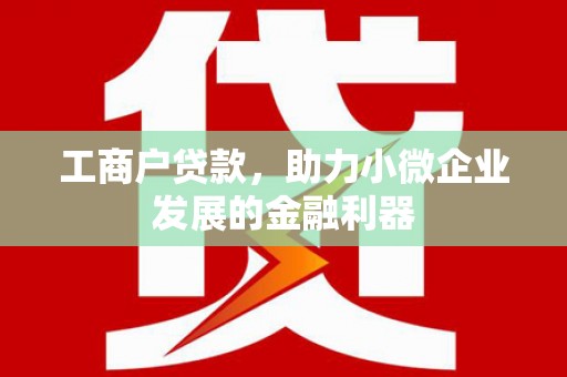 四湖工商户贷款,助力小微企业发展的金融利器 四湖工商户贷款,助力小微企业发展的金融利器