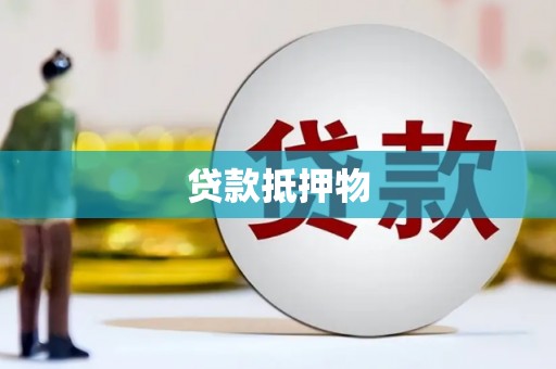 四湖贷款抵押物