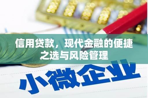 四湖信用贷款，现代金融的便捷之选与风险管理