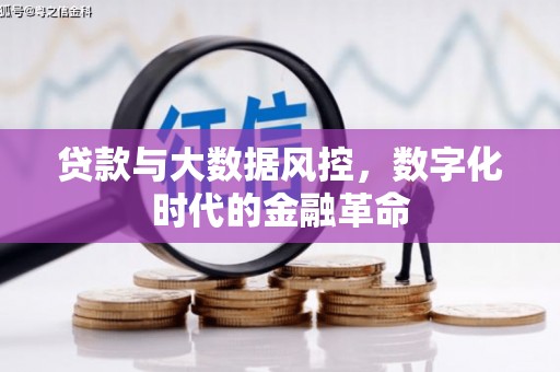 四湖贷款与大数据风控，数字化时代的金融革命