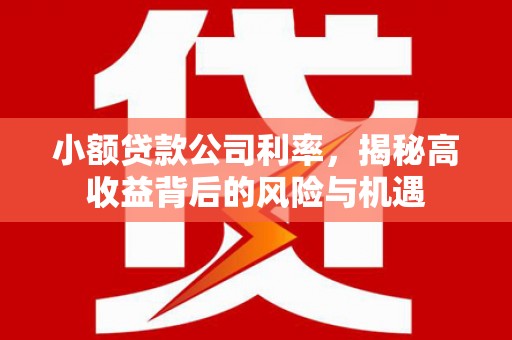 四湖小额贷款公司利率，揭秘高收益背后的风险与机遇