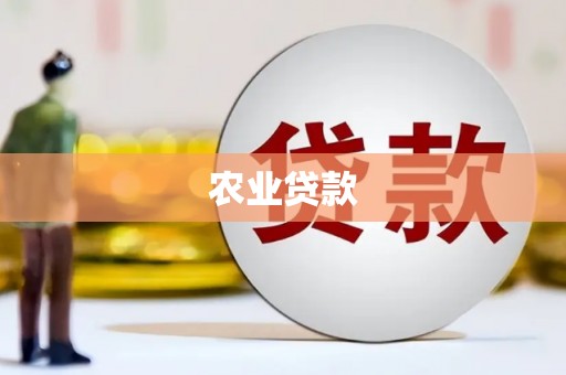 四湖农业贷款