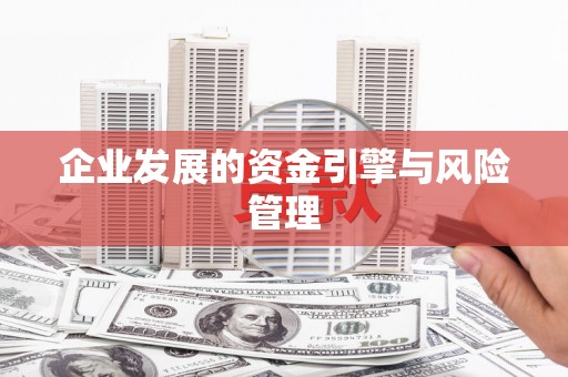 四湖企业发展的资金引擎与风险管理