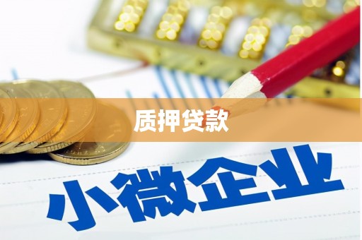 四湖质押贷款