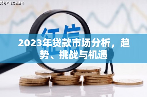 四湖2023年贷款市场分析，趋势、挑战与机遇