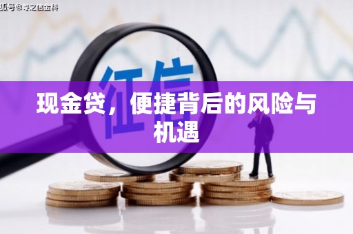四湖现金贷，便捷背后的风险与机遇