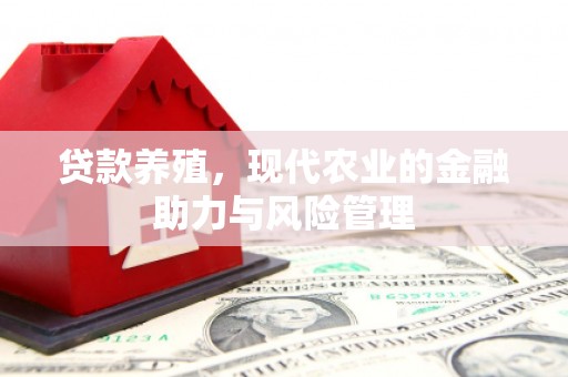 四湖贷款养殖，现代农业的金融助力与风险管理