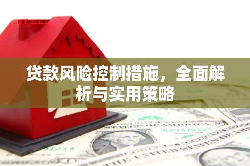 四湖贷款风险控制措施，全面解析与实用策略
