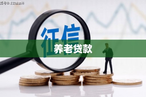 四湖养老贷款