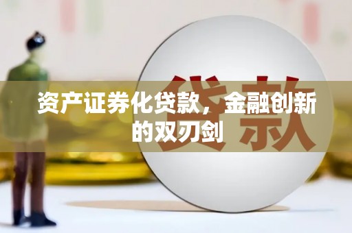 四湖资产证券化贷款，金融创新的双刃剑