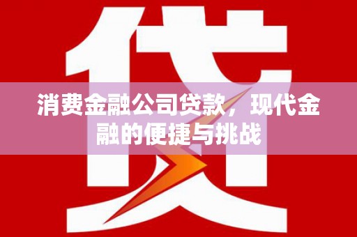 四湖消费金融公司贷款，现代金融的便捷与挑战
