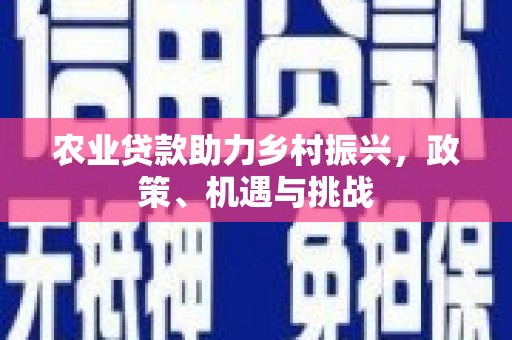 四湖农业贷款助力乡村振兴，政策、机遇与挑战