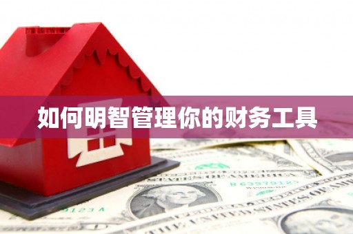 四湖如何明智管理你的财务工具