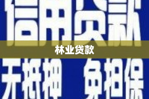 四湖林业贷款