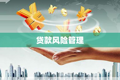 四湖贷款风险管理
