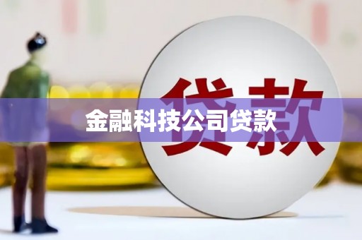 四湖金融科技公司贷款