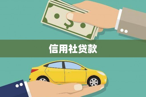 四湖信用社贷款