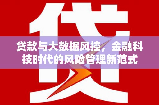 四湖贷款与大数据风控，金融科技时代的风险管理新范式