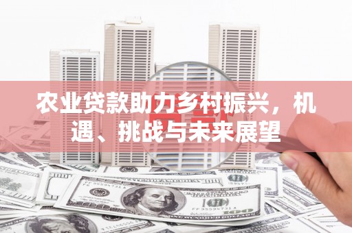 四湖农业贷款助力乡村振兴，机遇、挑战与未来展望