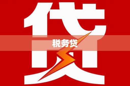 四湖税务贷