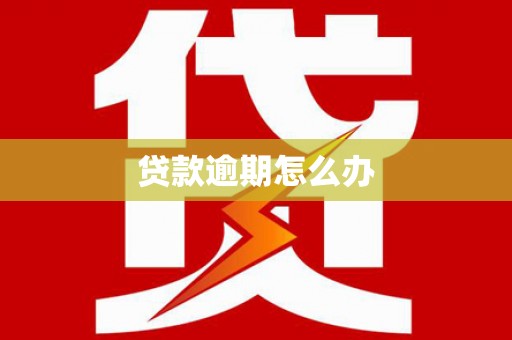 四湖贷款逾期怎么办