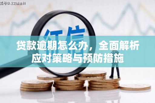 四湖贷款逾期怎么办，全面解析应对策略与预防措施