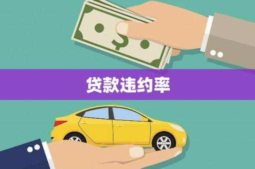 四湖贷款违约率