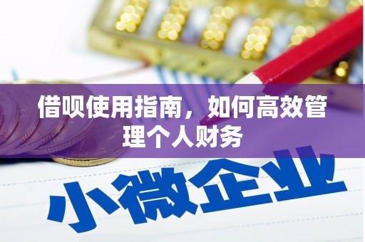四湖借呗使用指南，如何高效管理个人财务