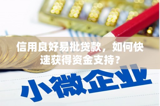 四湖信用良好易批贷款，如何快速获得资金支持？