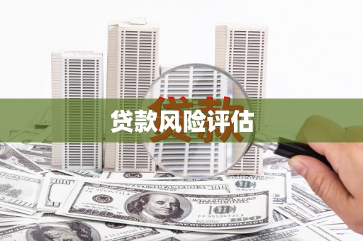 四湖贷款风险评估