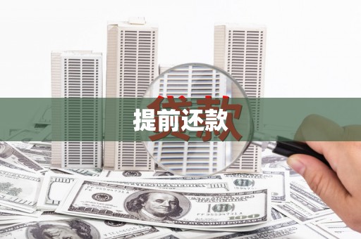 四湖提前还款