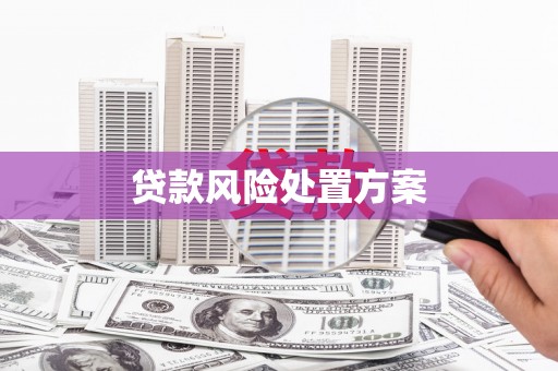 四湖贷款风险处置方案