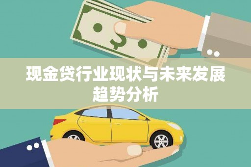 四湖现金贷行业现状与未来发展趋势分析
