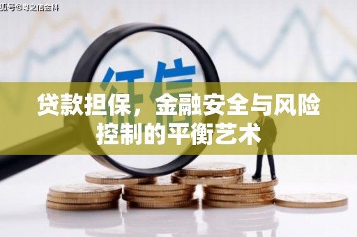 四湖贷款担保，金融安全与风险控制的平衡艺术