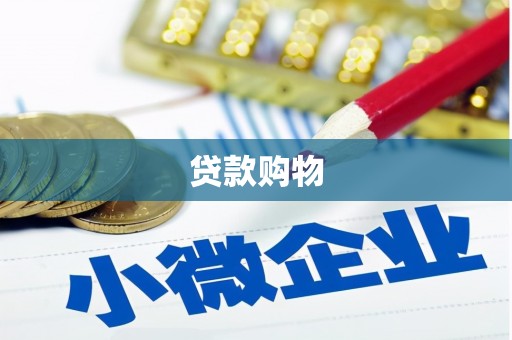 四湖贷款购物