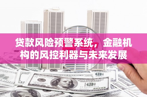 四湖贷款风险预警系统，金融机构的风控利器与未来发展