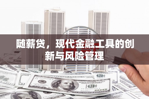 四湖随薪贷，现代金融工具的创新与风险管理