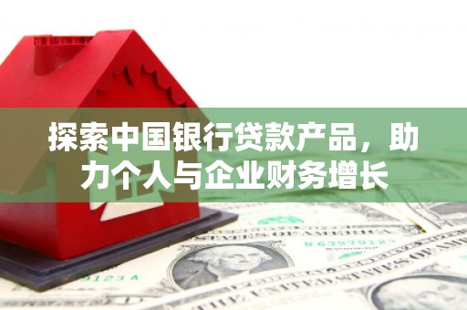 四湖探索中国银行贷款产品，助力个人与企业财务增长