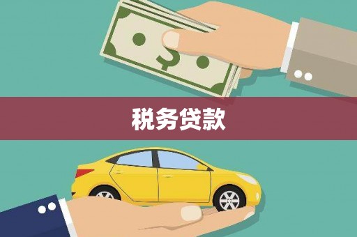 四湖税务贷款