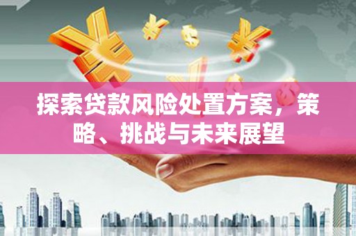 四湖探索贷款风险处置方案，策略、挑战与未来展望
