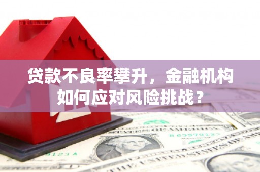四湖贷款不良率攀升，金融机构如何应对风险挑战？