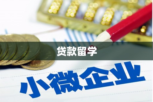 四湖贷款留学