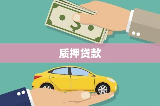 四湖质押贷款